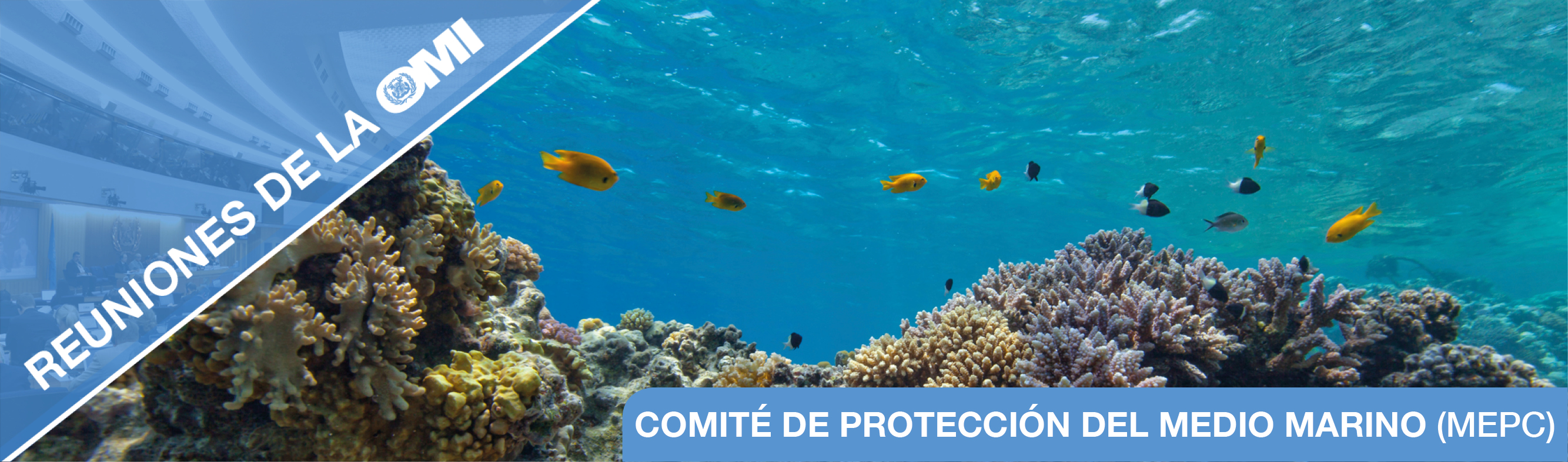 IMO meetings_banner_MEPC_SP.jpg